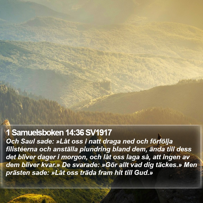 1 Samuelsboken 14:36 SV1917 Bible Study