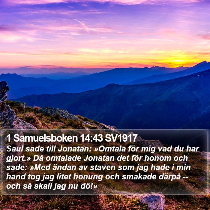 1 Samuelsboken 14:43 SV1917 Bible Study