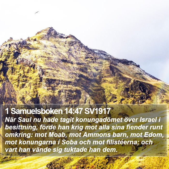 1 Samuelsboken 14:47 SV1917 Bible Study