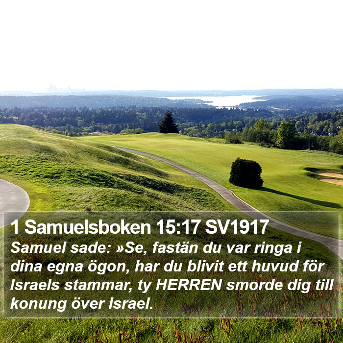 1 Samuelsboken 15:17 SV1917 Bible Study