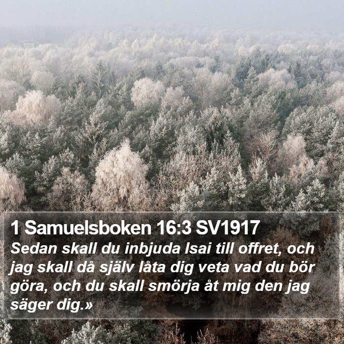 1 Samuelsboken 16:3 SV1917 Bible Study