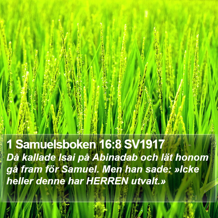 1 Samuelsboken 16:8 SV1917 Bible Study