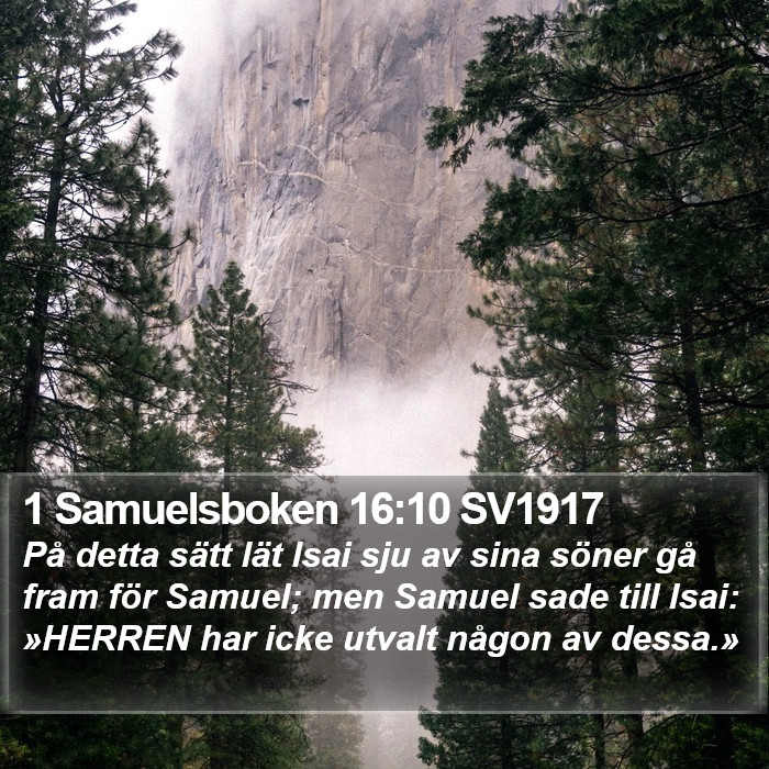 1 Samuelsboken 16:10 SV1917 Bible Study