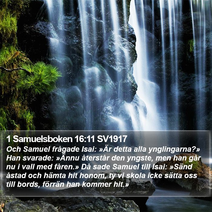 1 Samuelsboken 16:11 SV1917 Bible Study