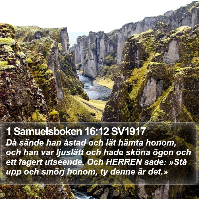 1 Samuelsboken 16:12 SV1917 Bible Study