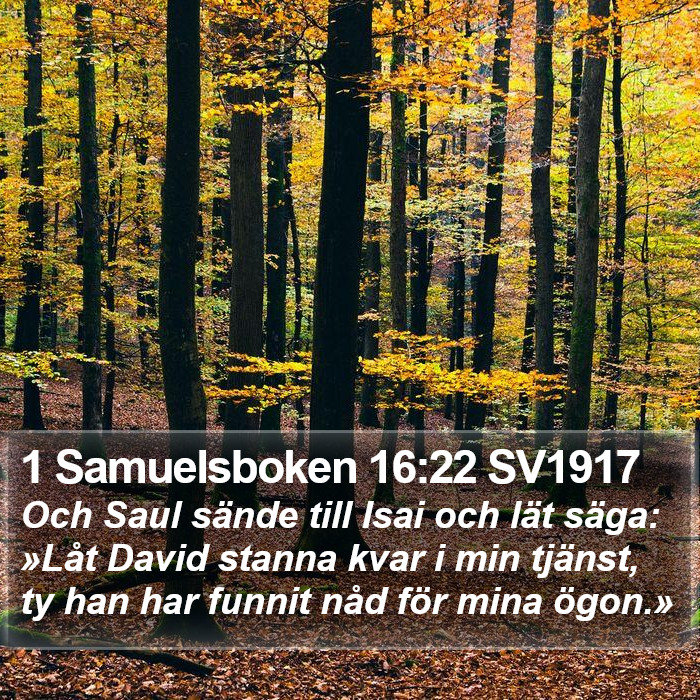 1 Samuelsboken 16:22 SV1917 Bible Study