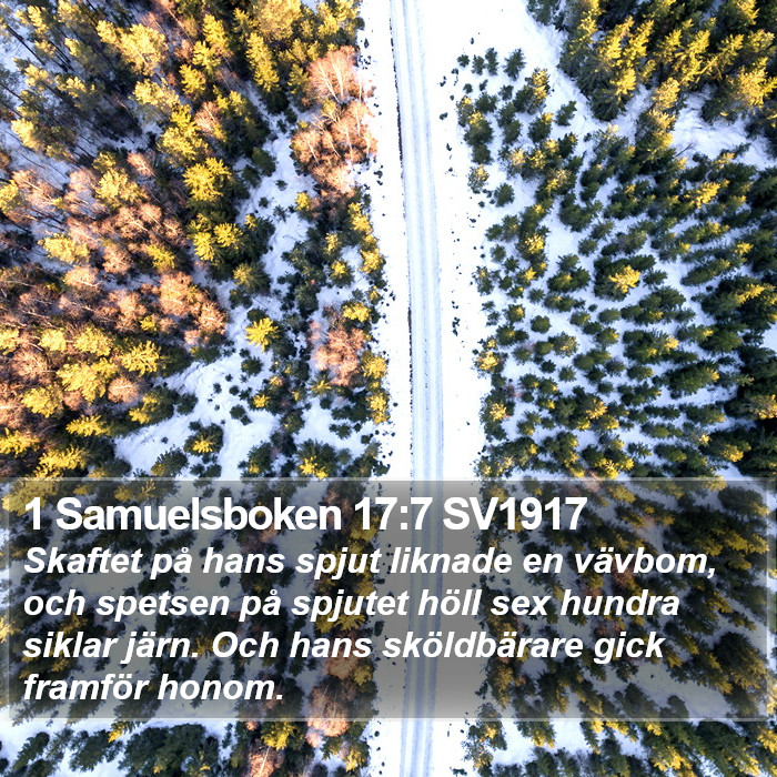 1 Samuelsboken 17:7 SV1917 Bible Study