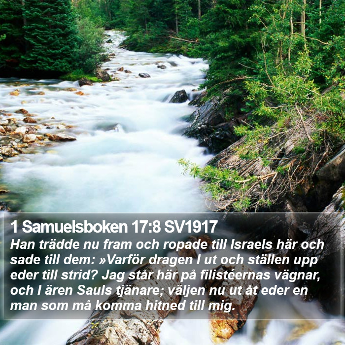 1 Samuelsboken 17:8 SV1917 Bible Study