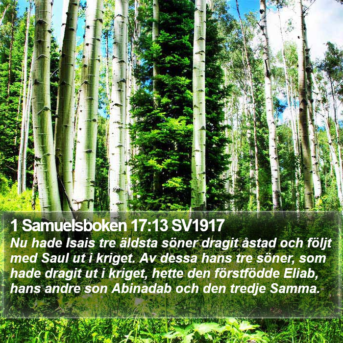 1 Samuelsboken 17:13 SV1917 Bible Study