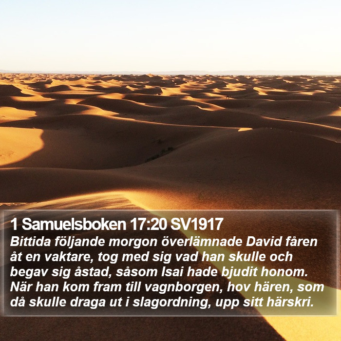 1 Samuelsboken 17:20 SV1917 Bible Study