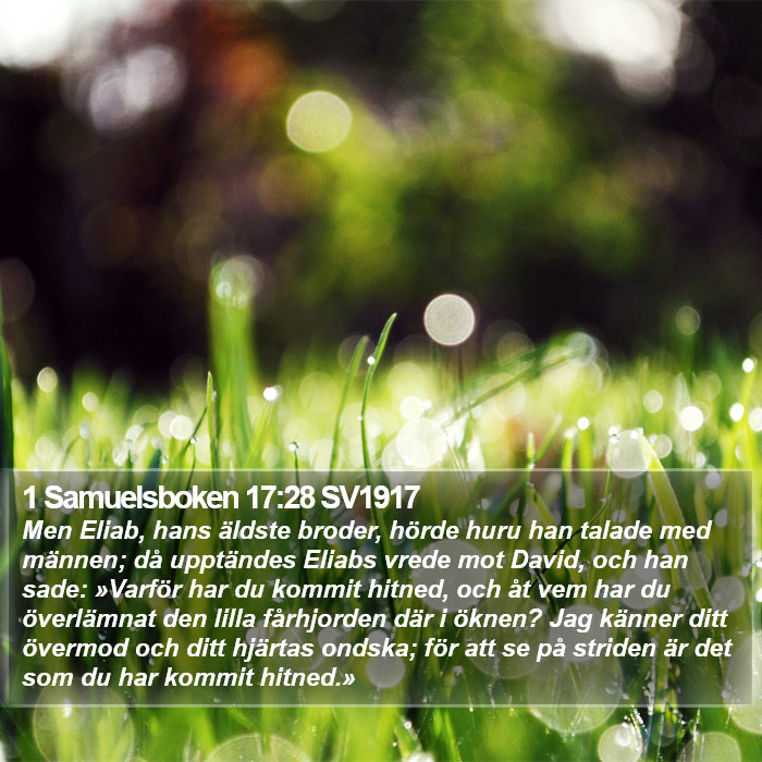 1 Samuelsboken 17:28 SV1917 Bible Study