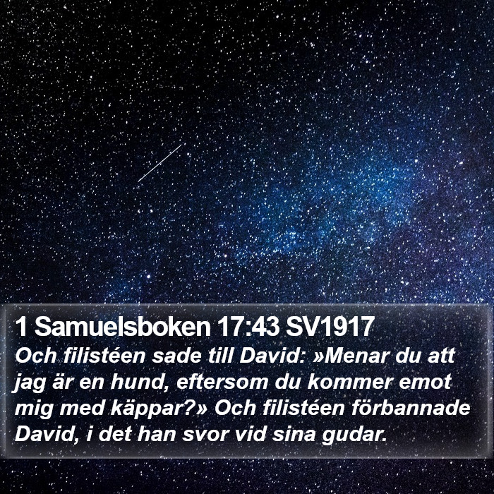 1 Samuelsboken 17:43 SV1917 Bible Study