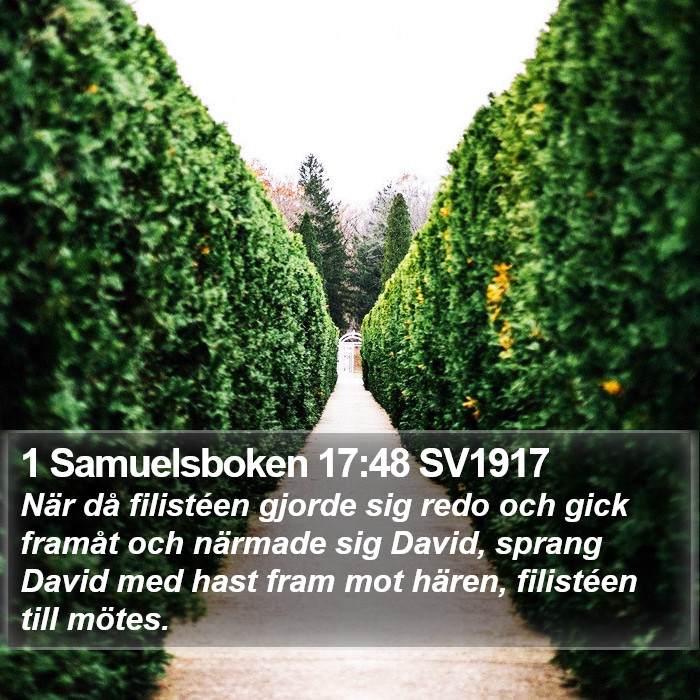 1 Samuelsboken 17:48 SV1917 Bible Study