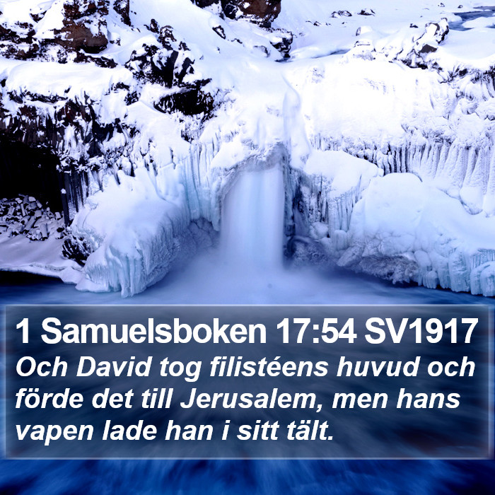 1 Samuelsboken 17:54 SV1917 Bible Study