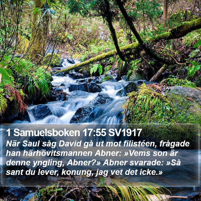 1 Samuelsboken 17:55 SV1917 Bible Study