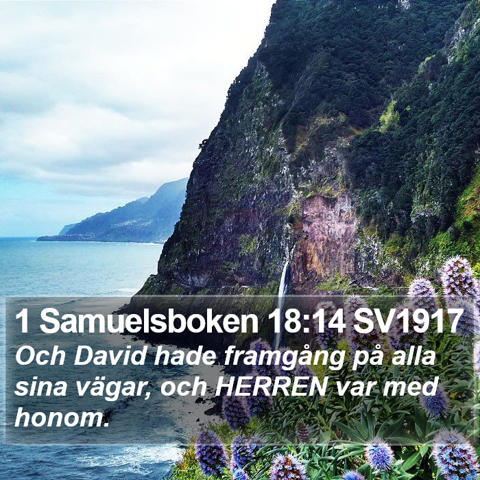 1 Samuelsboken 18:14 SV1917 Bible Study