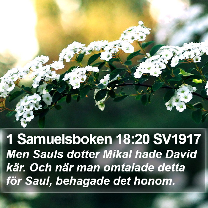 1 Samuelsboken 18:20 SV1917 Bible Study