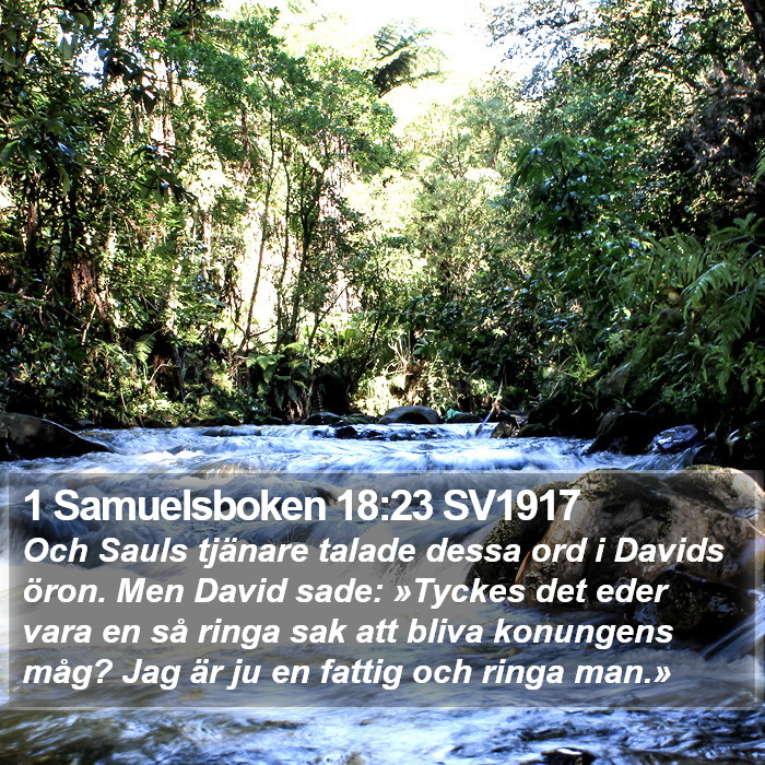 1 Samuelsboken 18:23 SV1917 Bible Study