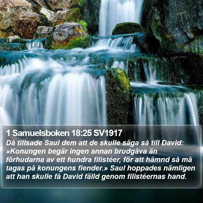 1 Samuelsboken 18:25 SV1917 Bible Study