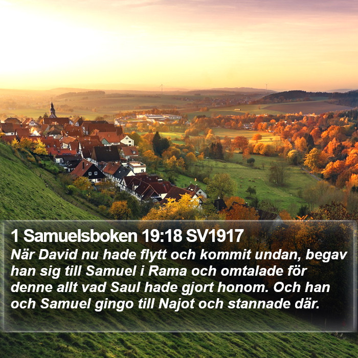 1 Samuelsboken 19:18 SV1917 Bible Study