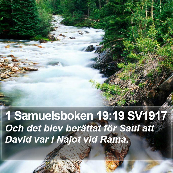 1 Samuelsboken 19:19 SV1917 Bible Study