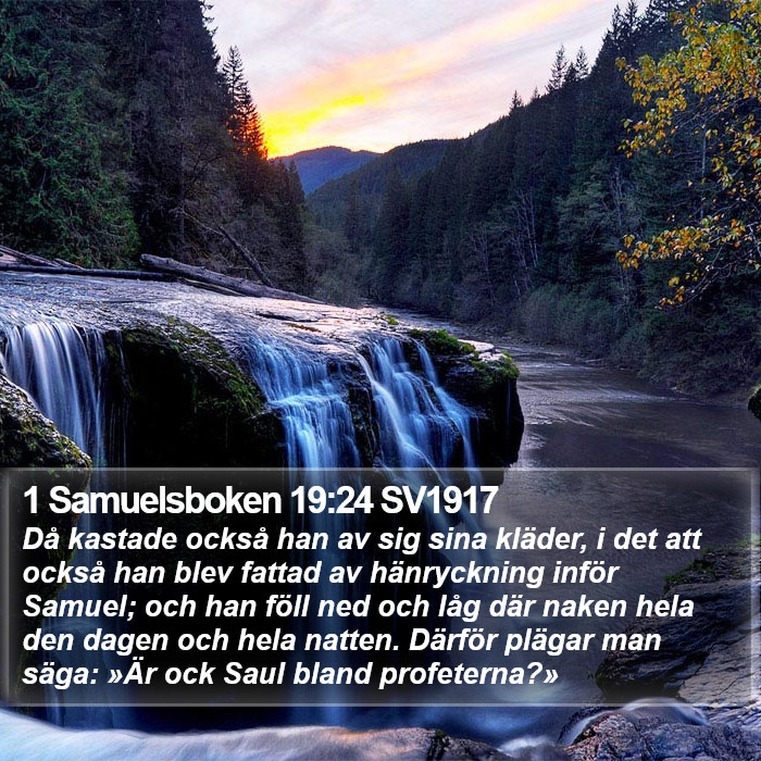 1 Samuelsboken 19:24 SV1917 Bible Study