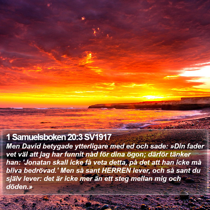 1 Samuelsboken 20:3 SV1917 Bible Study