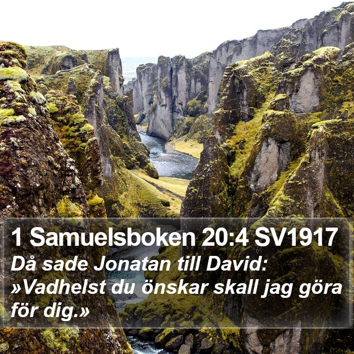 1 Samuelsboken 20:4 SV1917 Bible Study