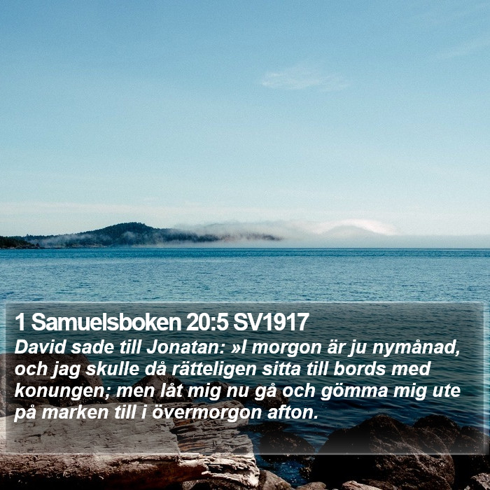 1 Samuelsboken 20:5 SV1917 Bible Study