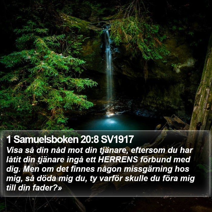 1 Samuelsboken 20:8 SV1917 Bible Study