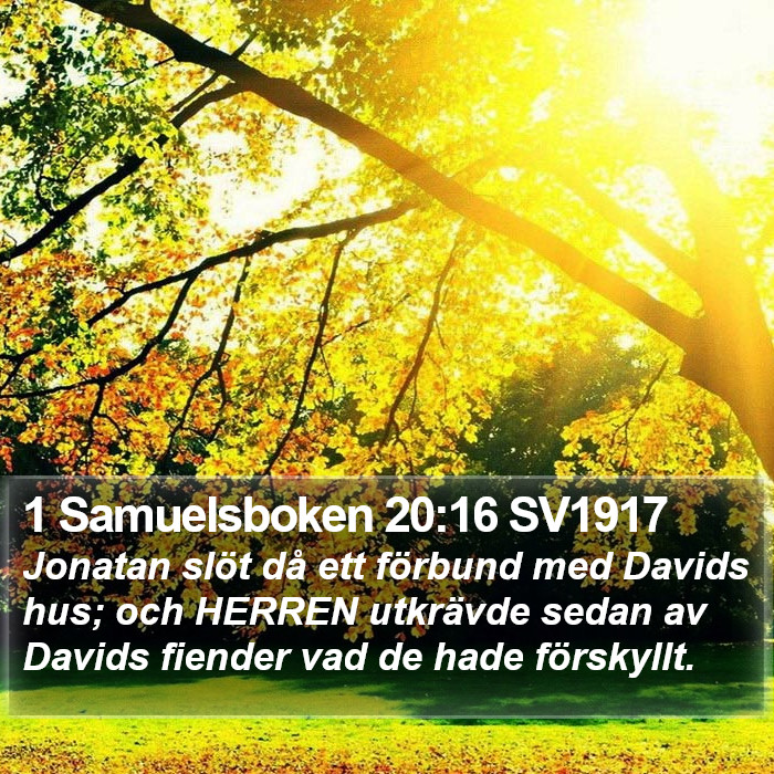 1 Samuelsboken 20:16 SV1917 Bible Study