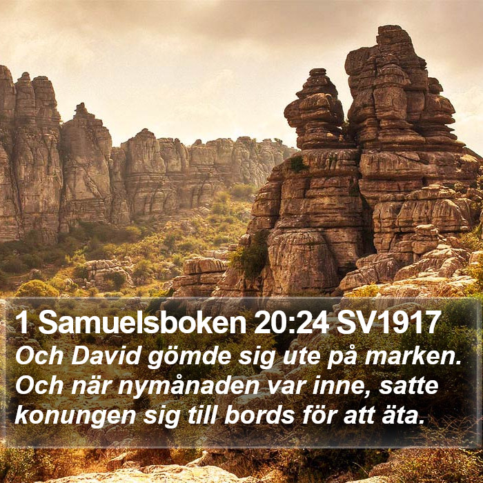 1 Samuelsboken 20:24 SV1917 Bible Study