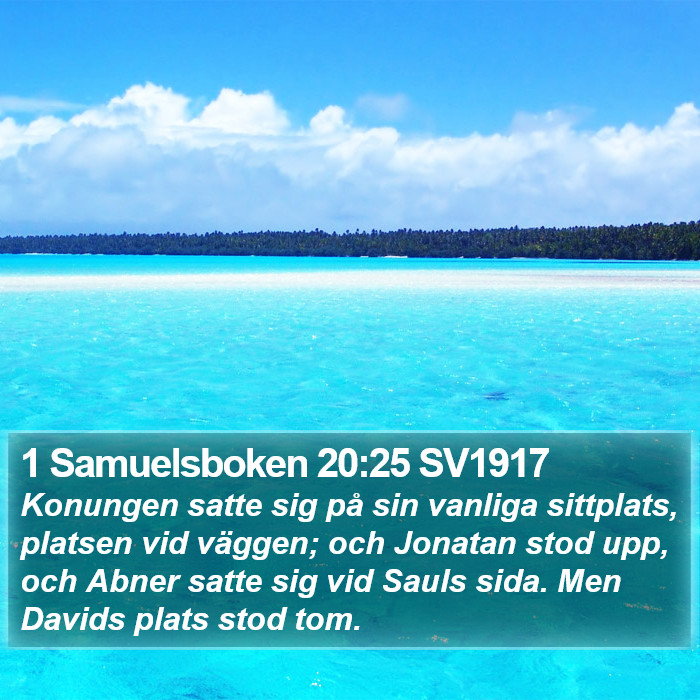 1 Samuelsboken 20:25 SV1917 Bible Study