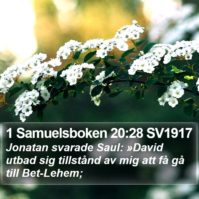 1 Samuelsboken 20:28 SV1917 Bible Study