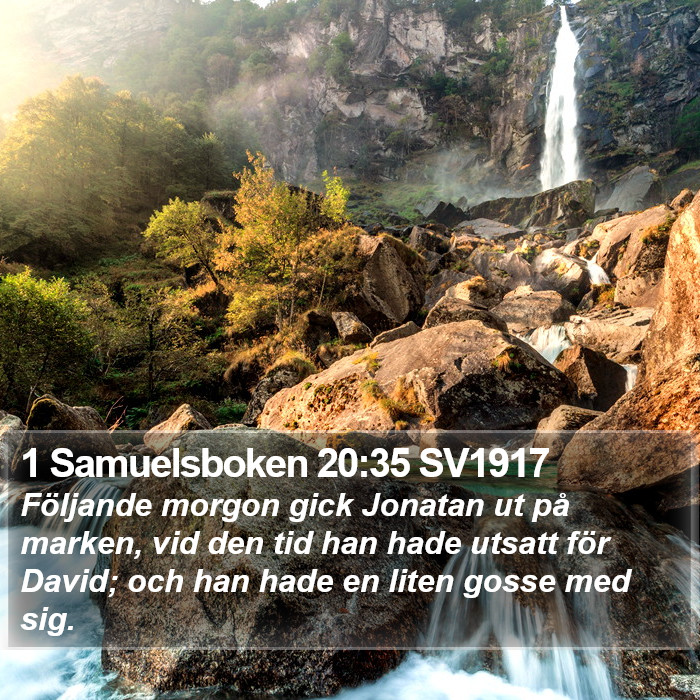 1 Samuelsboken 20:35 SV1917 Bible Study