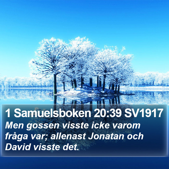 1 Samuelsboken 20:39 SV1917 Bible Study