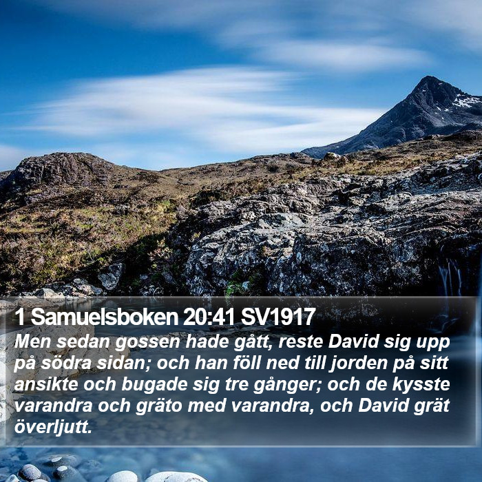 1 Samuelsboken 20:41 SV1917 Bible Study