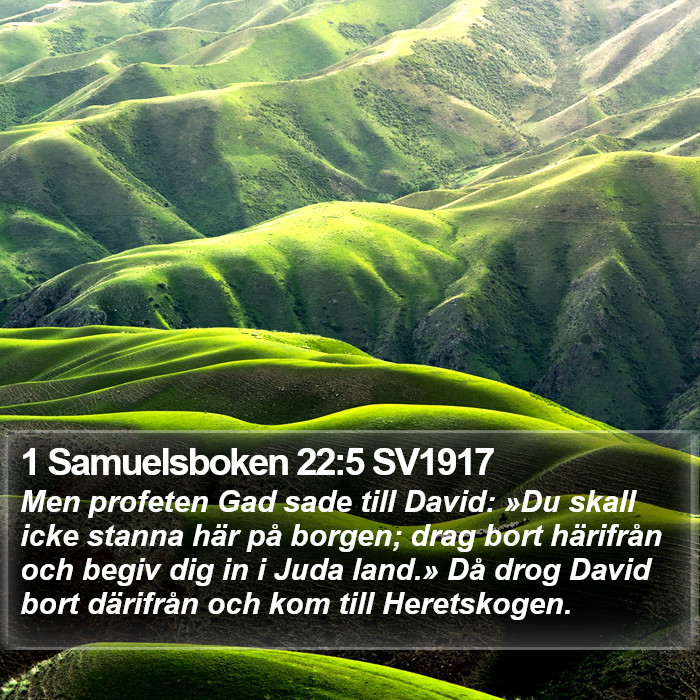 1 Samuelsboken 22:5 SV1917 Bible Study