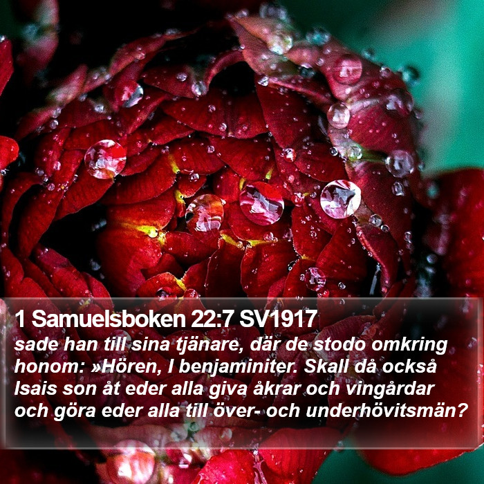 1 Samuelsboken 22:7 SV1917 Bible Study
