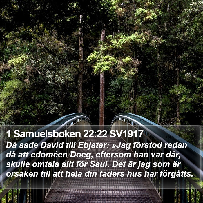 1 Samuelsboken 22:22 SV1917 Bible Study