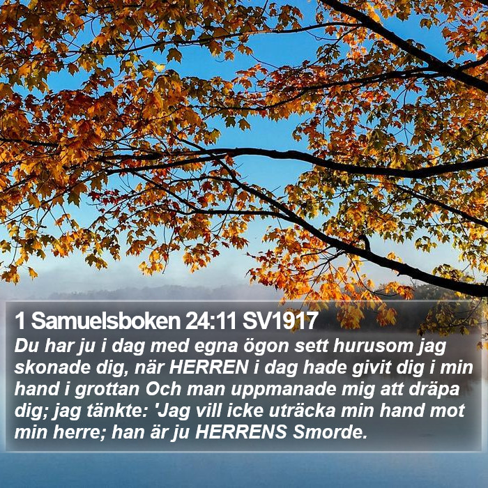 1 Samuelsboken 24:11 SV1917 Bible Study