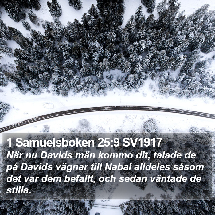 1 Samuelsboken 25:9 SV1917 Bible Study