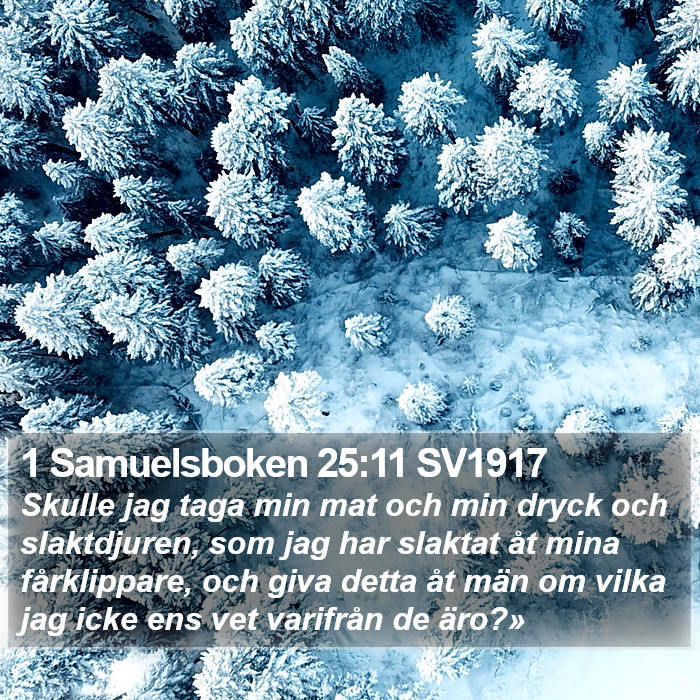 1 Samuelsboken 25:11 SV1917 Bible Study