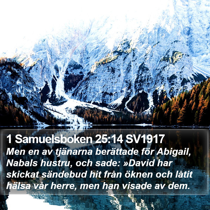 1 Samuelsboken 25:14 SV1917 Bible Study