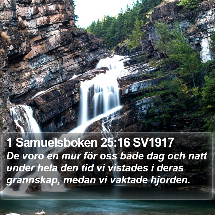 1 Samuelsboken 25:16 SV1917 Bible Study