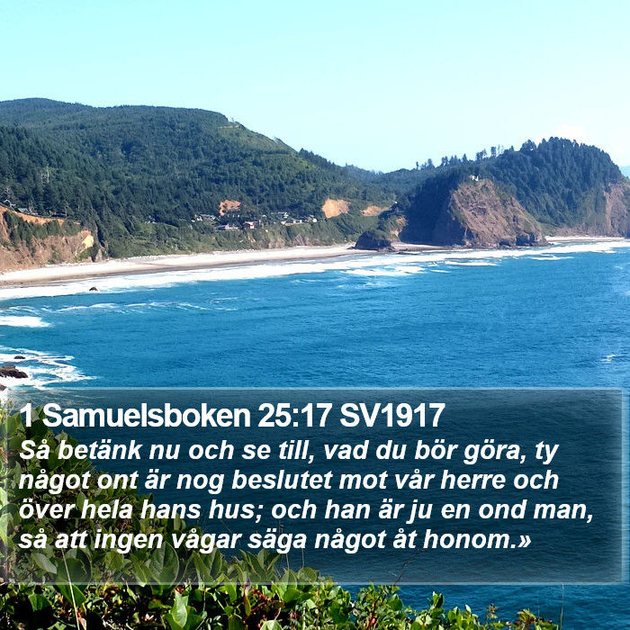 1 Samuelsboken 25:17 SV1917 Bible Study