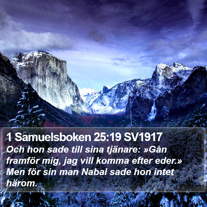 1 Samuelsboken 25:19 SV1917 Bible Study