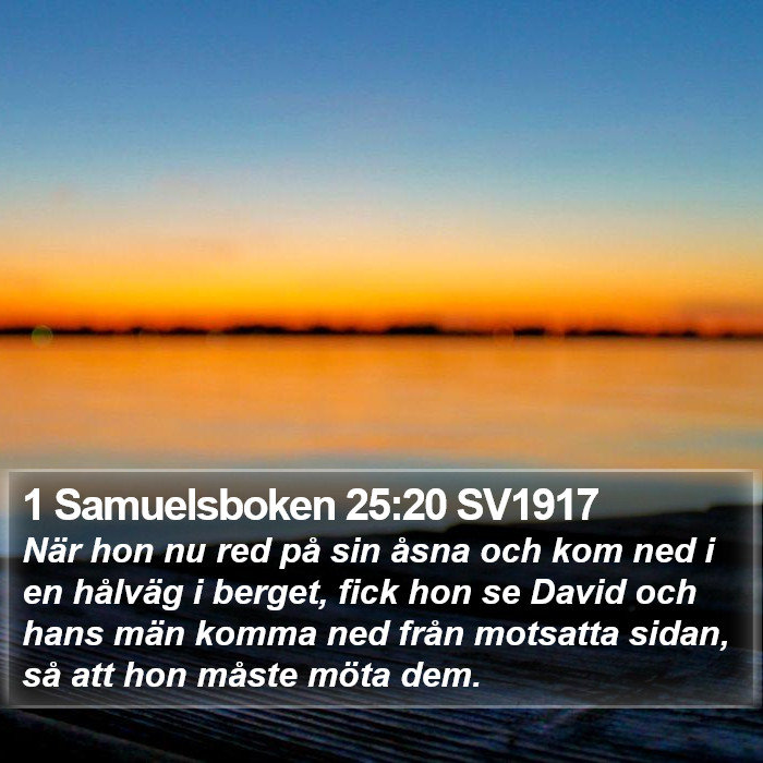 1 Samuelsboken 25:20 SV1917 Bible Study