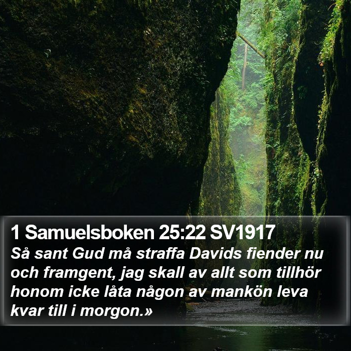 1 Samuelsboken 25:22 SV1917 Bible Study