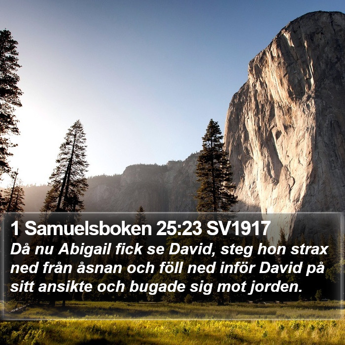 1 Samuelsboken 25:23 SV1917 Bible Study